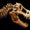 T. rex, Fosillerin Gösterdiğinden Çok Daha Büyük Olabilir