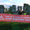 Stonehenge’e İnşa Edilecek Tünel, İtirazlara Rağmen Onaylandı