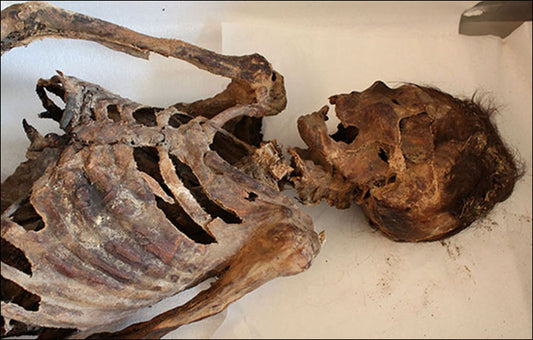 Moğolistan’da Bulunan 1100 Yıllık Türk Mumyası İncelendi!