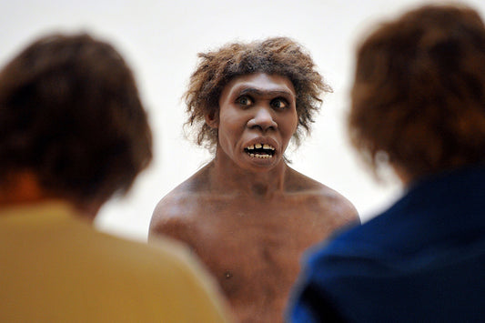 Neandertaller Hala İnsan Gen İfadelerini Kontrol Ediyor