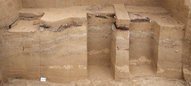Buzul Çağı’nda da İnsanlar Ateşi Ustalıkla Kullanıyordu