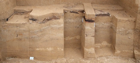 Buzul Çağı’nda da İnsanlar Ateşi Ustalıkla Kullanıyordu