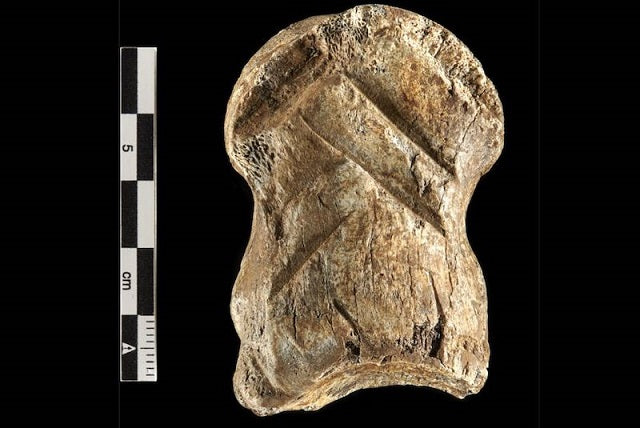 Neandertaller Bu Kemiği Kaynatmış ve Desenler Kazımış