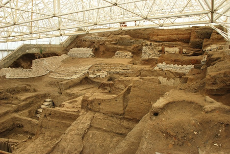 Avrupa Kültürünün Temeli Çatalhöyük’te