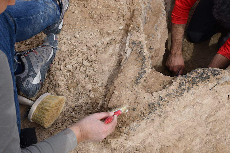 Uruk Yerleşiminde 4.000 Yıllık Ahşap Tekne Bulundu