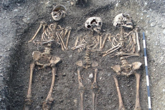 Veba Bakterisi, Avrupa’da 300 Yıl Varlığını Sürdürmüş