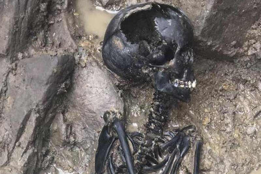 Dublin’deki Kazılarda Viking Çocuk İskeleti Bulundu