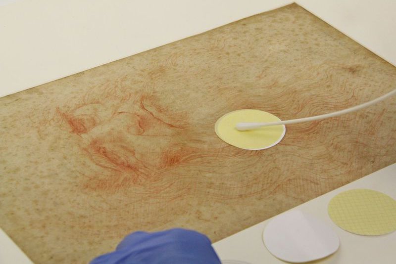 Da Vinci’nin Çizimlerinde Bakteri ve Mantarların Gizli Dünyası