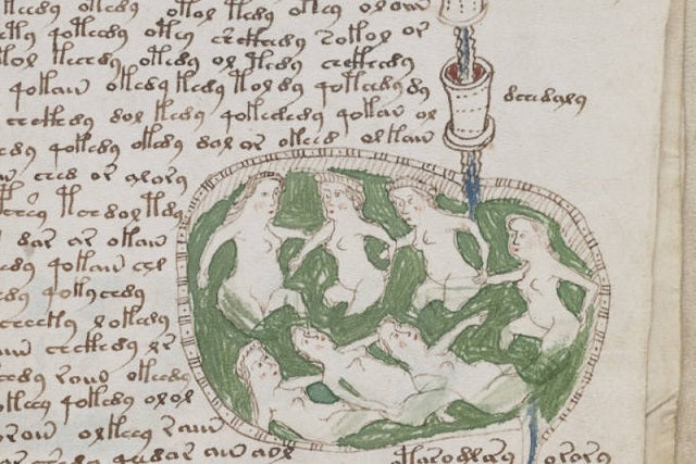 Voynich El Yazması’nı Çözmeye Bir Adım Daha Yaklaşıldı