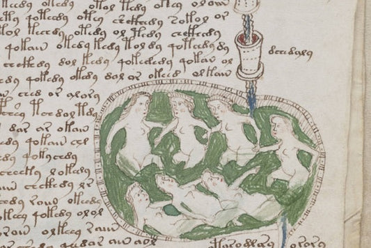 Voynich El Yazması’nı Çözmeye Bir Adım Daha Yaklaşıldı