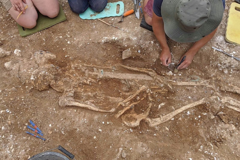 Anglo-Sakson Savaş Beyine Ait Kalıntılar Ortaya Çıkarıldı