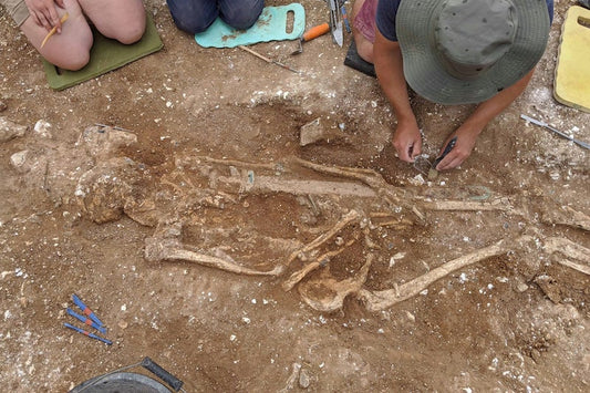 Anglo-Sakson Savaş Beyine Ait Kalıntılar Ortaya Çıkarıldı