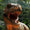 T. rex ve Yakın Akrabaları, Modern Kuşlar gibi Sıcakkanlıydı