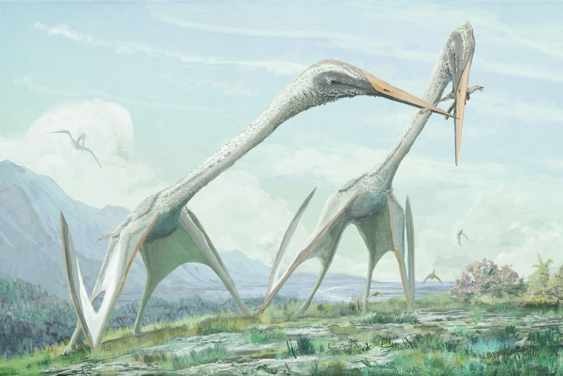 Bu Kanatlı Dev, T. rex’ten Çok Daha Büyüktü