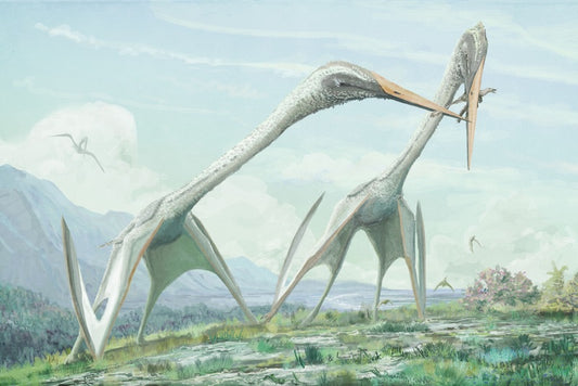 Bu Kanatlı Dev, T. rex’ten Çok Daha Büyüktü