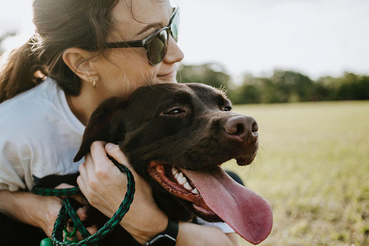 Kadınlar, Köpek ve İnsanın Birlikteki Evrimini Etkiledi