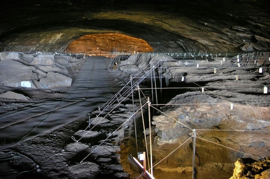 Homo Erectus 1,79 Milyon Yıl Önce Mağaraya Ateş Taşımış