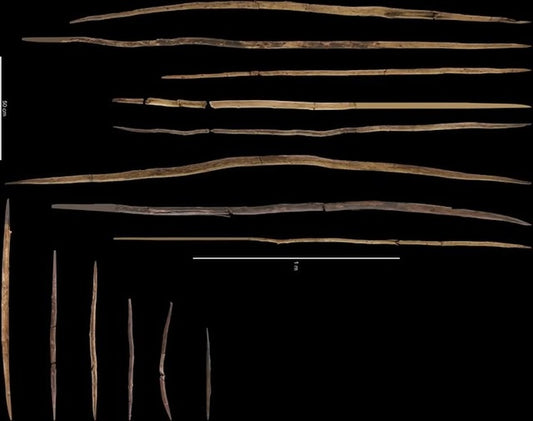 Neandertallerin 300.000 Yıl Önce Yaptığı Ahşap Aletler İncelendi