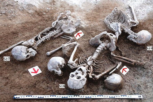 Moğolistan’da Han-Xiongnu Savaşının Kurbanları Bulundu