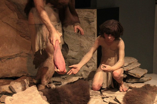 Neandertaller Ateşi Kontrol Edemediği İçin mi Yok Oldu?