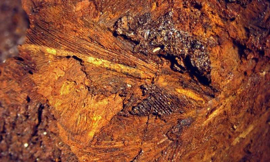 Vikingler Yastıklarının İçine Ne Koyuyorlardı?