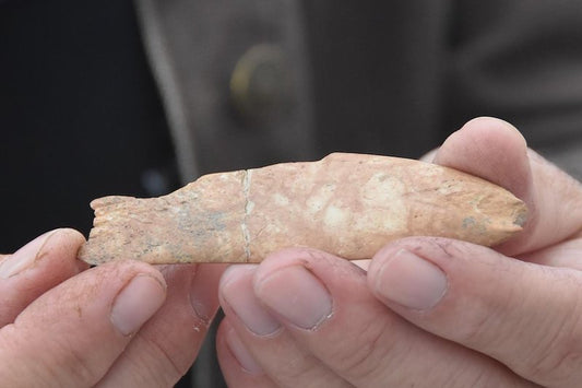 İzmir’deki Yeşilova Höyüğü’nde Balık Temizleme Aleti Bulundu