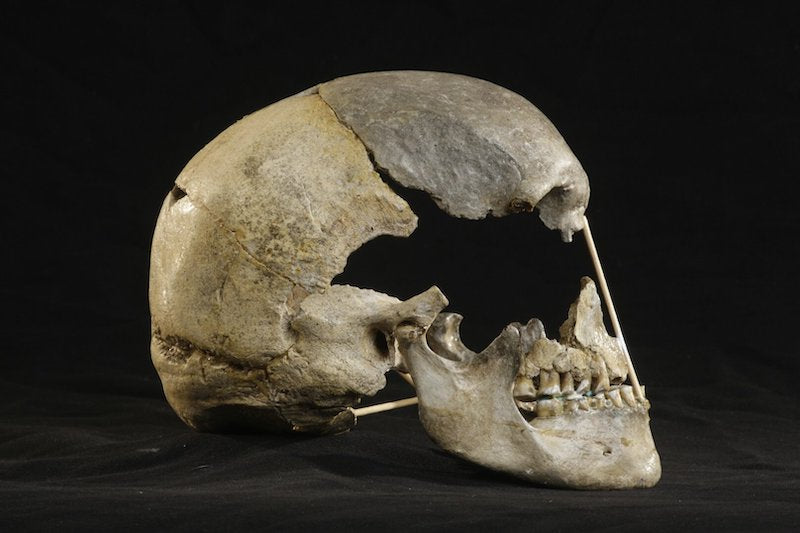 En Eski Modern İnsan Genomunda Neandertal Soyu Çıktı