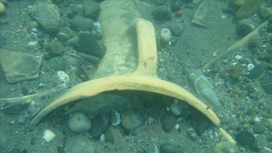 Karadeniz’deki Batık Gemiler İnceleniyor