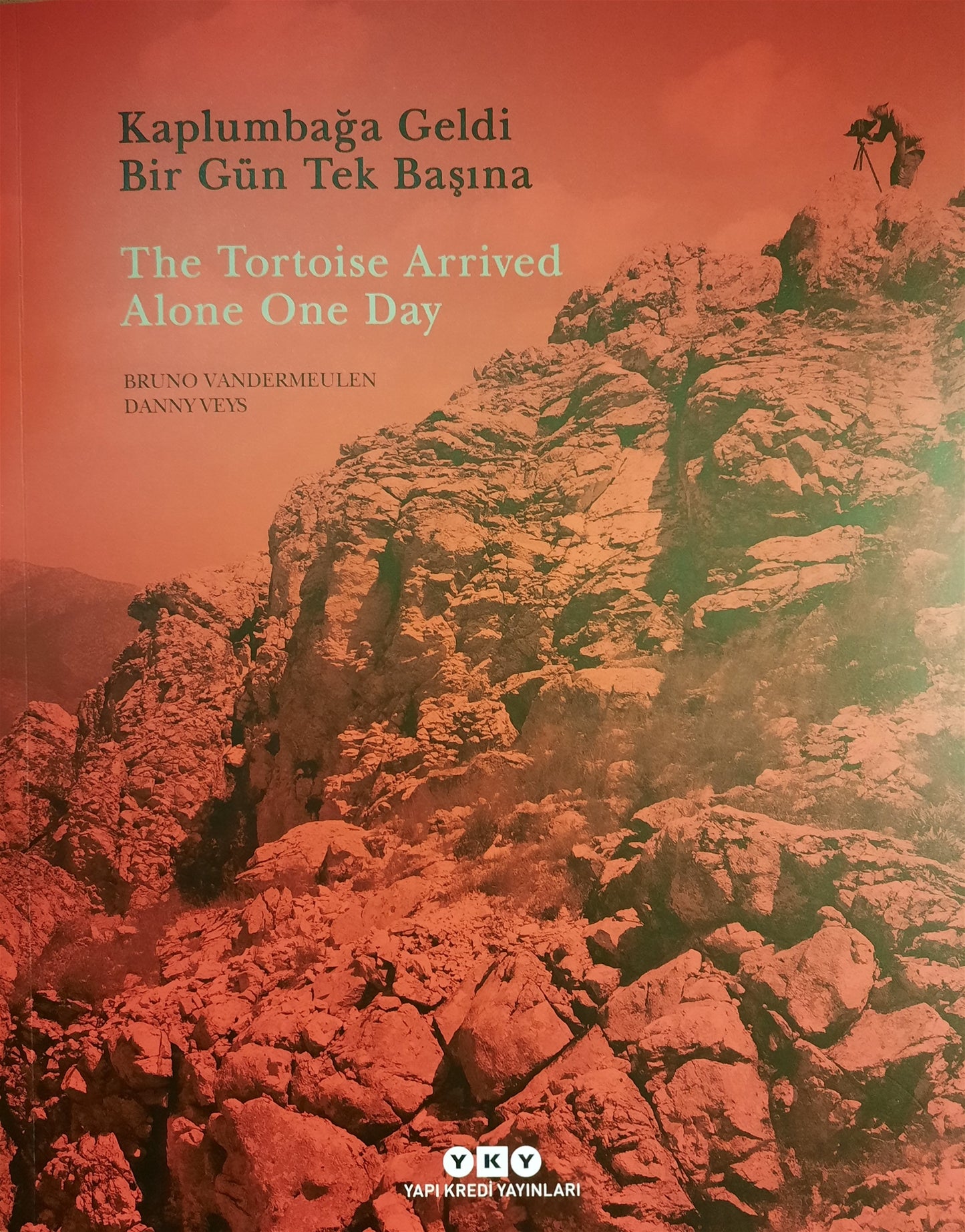 Kaplumbağa Geldi Bir Gün Tek Başına - The Tortoise Arrived Alone One Day