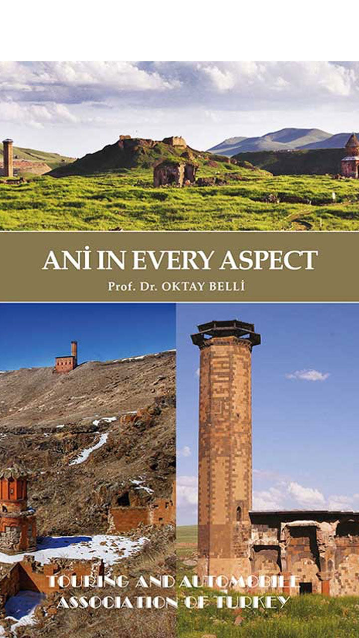 Ani In Every Aspect