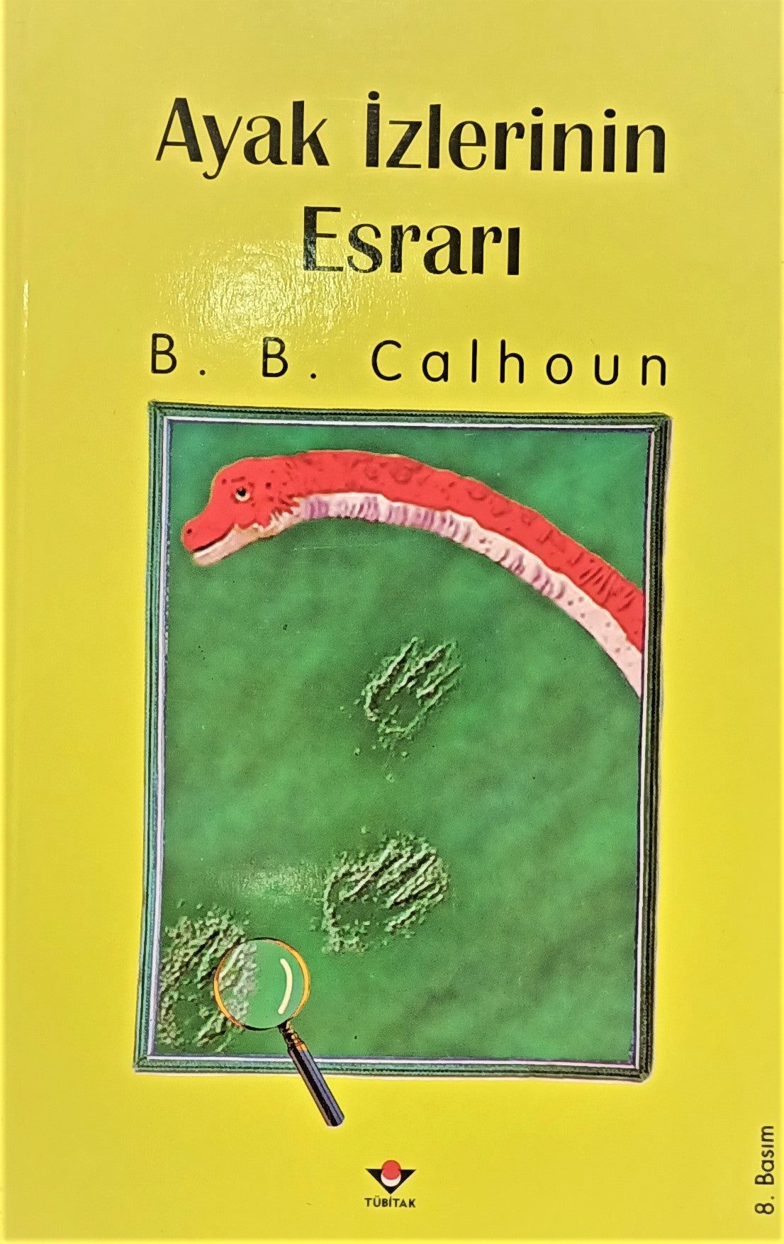 Ayak İzlerinin Esrarı