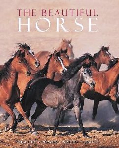 The Beautiful Horse