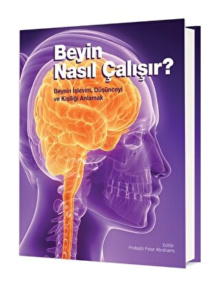Beyin Nasıl Çalışır? Beynin İşlevini, Düşünceyi ve Kişiliği Anlamak