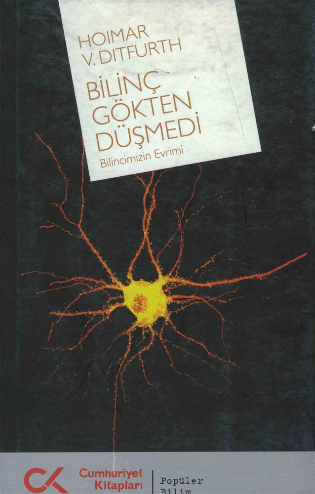 Bilinç Gökten Düşmedi : Bilincimizin Evrimi