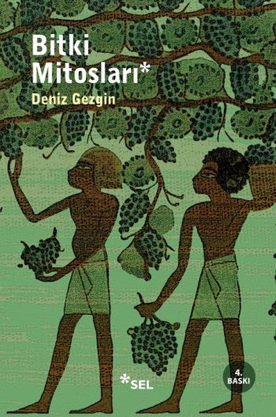 Bitki Mitosları