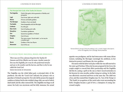 The Celtic Myths A Guide to the Ancient Gods and Legends 2