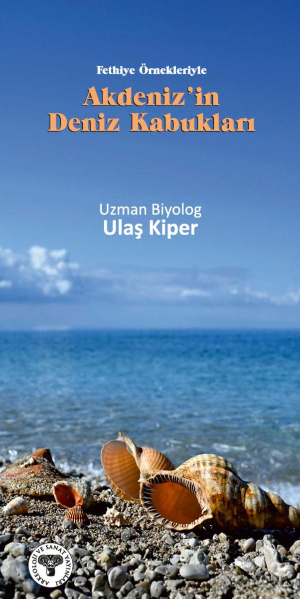Akdeniz'in Deniz Kabukları - Fethiye Örnekleriyle