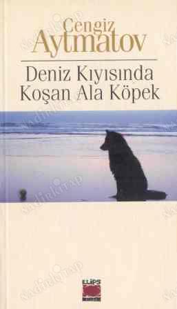 Deniz Kıyısında Koşan Ala Köpek
