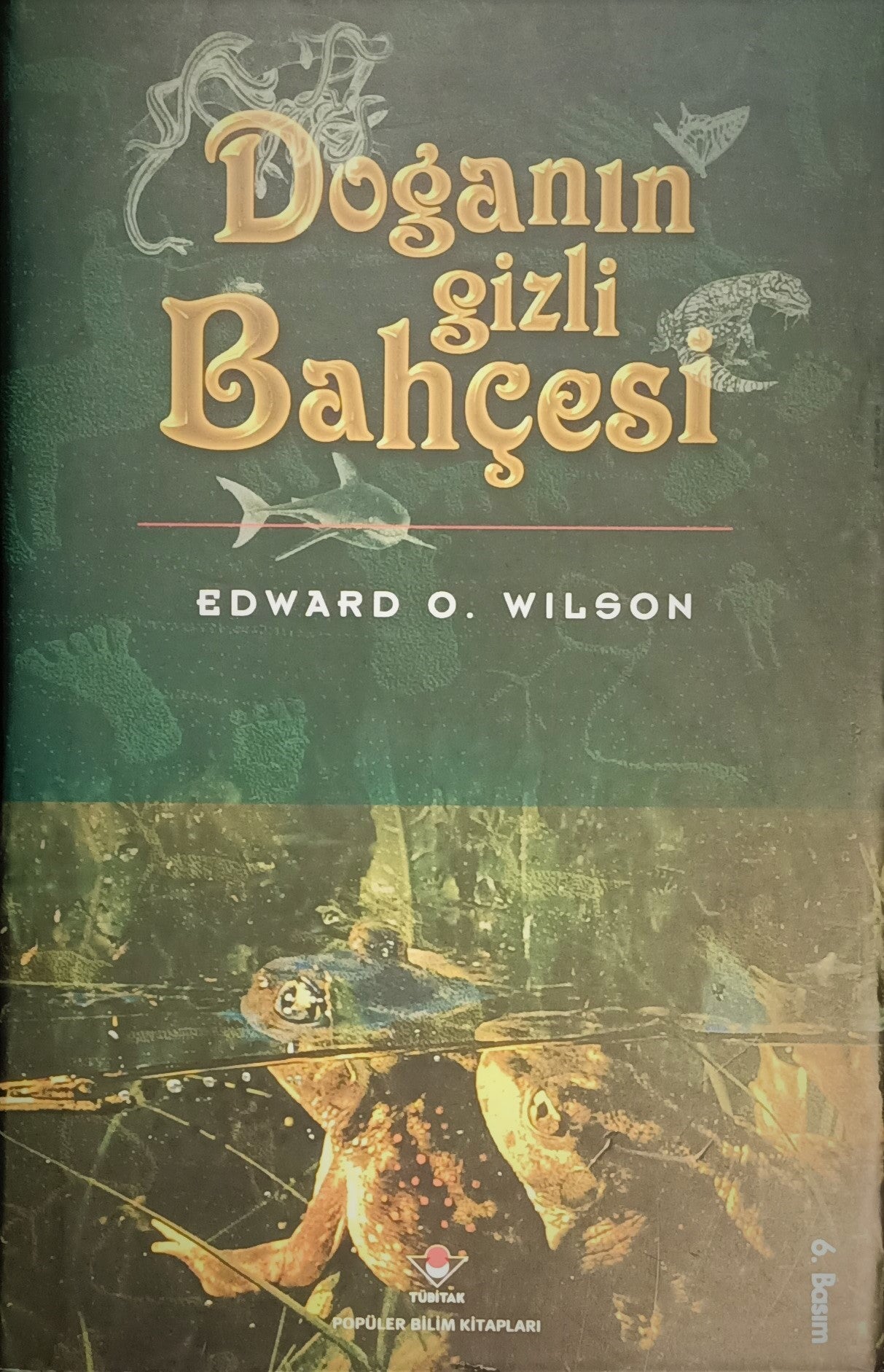 Doğanın Gizli Bahçesi