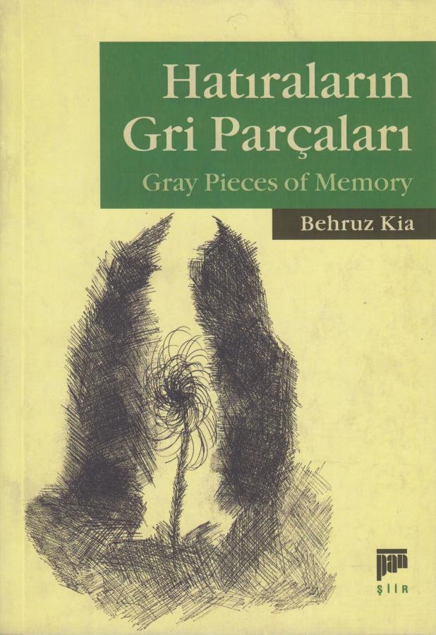 Hatıraların Gri Parçaları - Gray Pieces of Memory