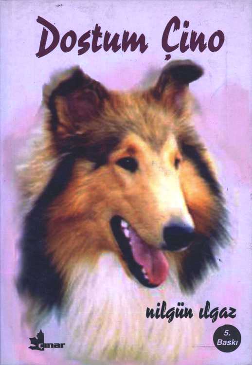Dostum Çino