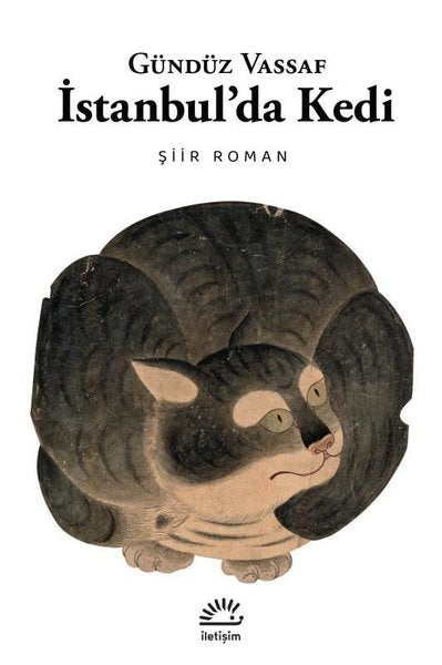 İstanbul'da Kedi Şiir-Roman