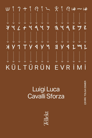 Kültürün Evrimi