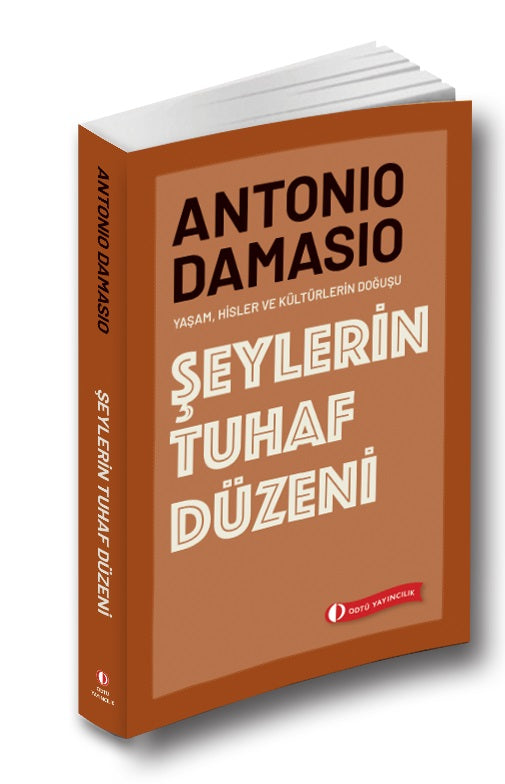 Şeylerin Tuhaf Düzeni - Yaşam, Hisler ve Kültürlerin Doğuşu