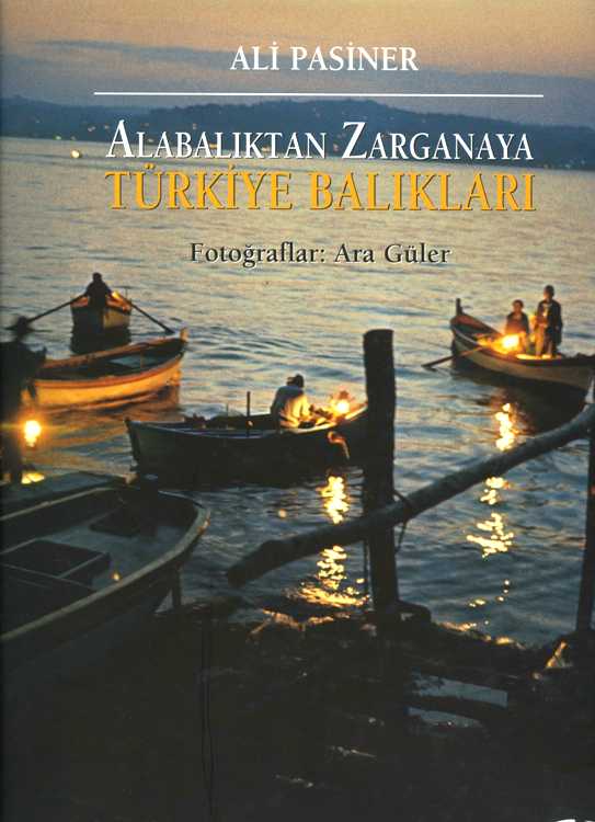 Alabalıktan Zarganaya Türkiye Balıkları