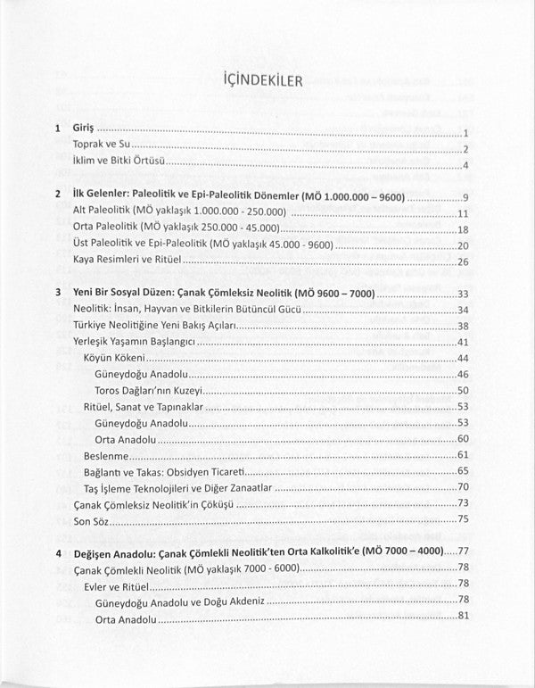 Arkeolojik Veriler Işığında Türkiye'nin En Eski Kültürleri MÖ 1.000.000-550 2