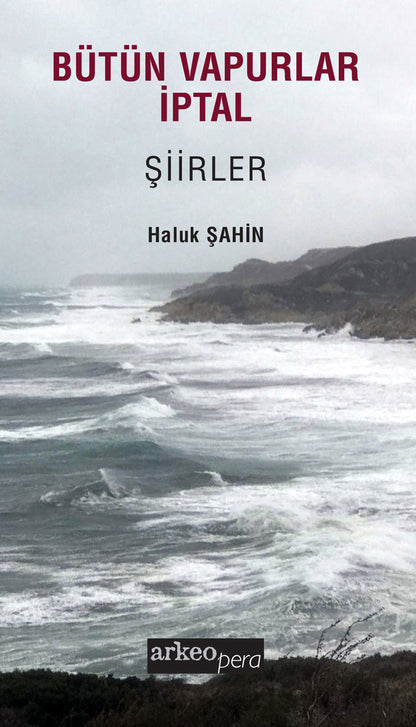 Bütün Vapurlar İptal - Şiirler 2