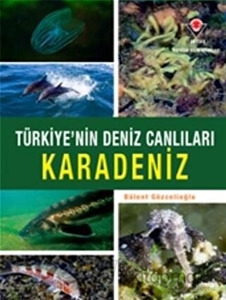 Karadeniz - Türkiye'nin Deniz Canlıları