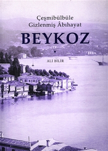 Beykoz : Çeşmibülbüle Gizlenmiş Abıhayat