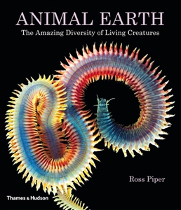 Animal Earth